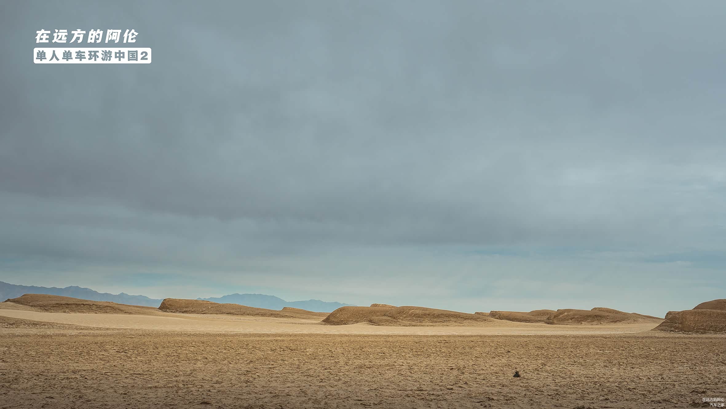 道路一侧的小雅丹像一条条鲸鱼一样