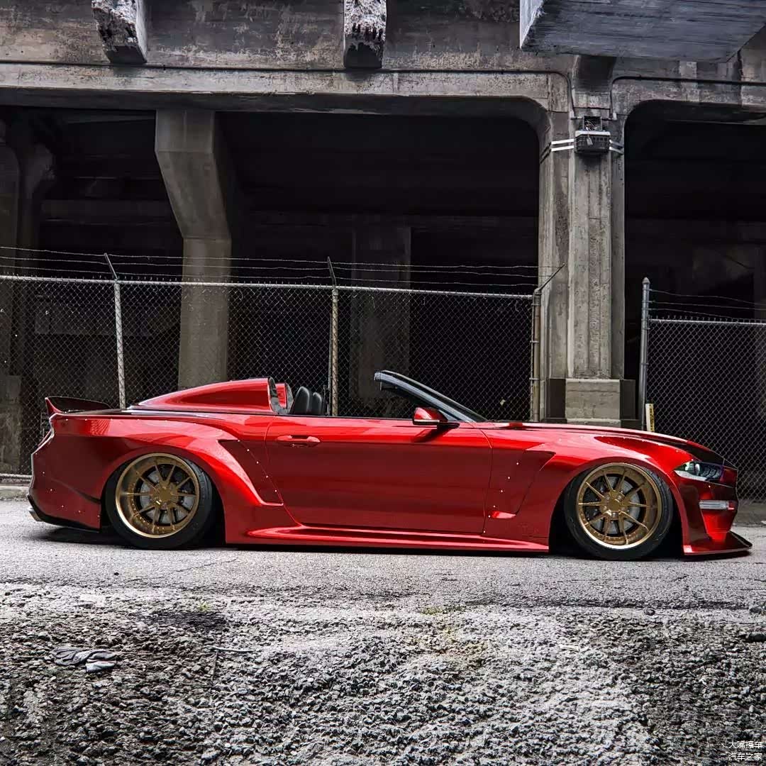 照片均搜集于网络，文字编辑：大嘴