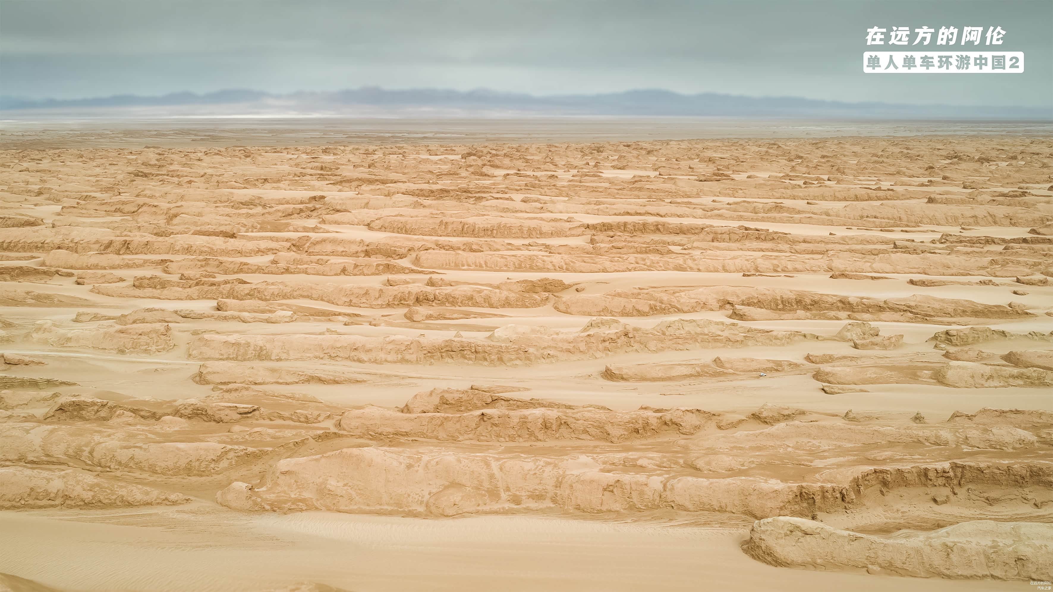 壮观的小鲸鱼，真的是不虚此行