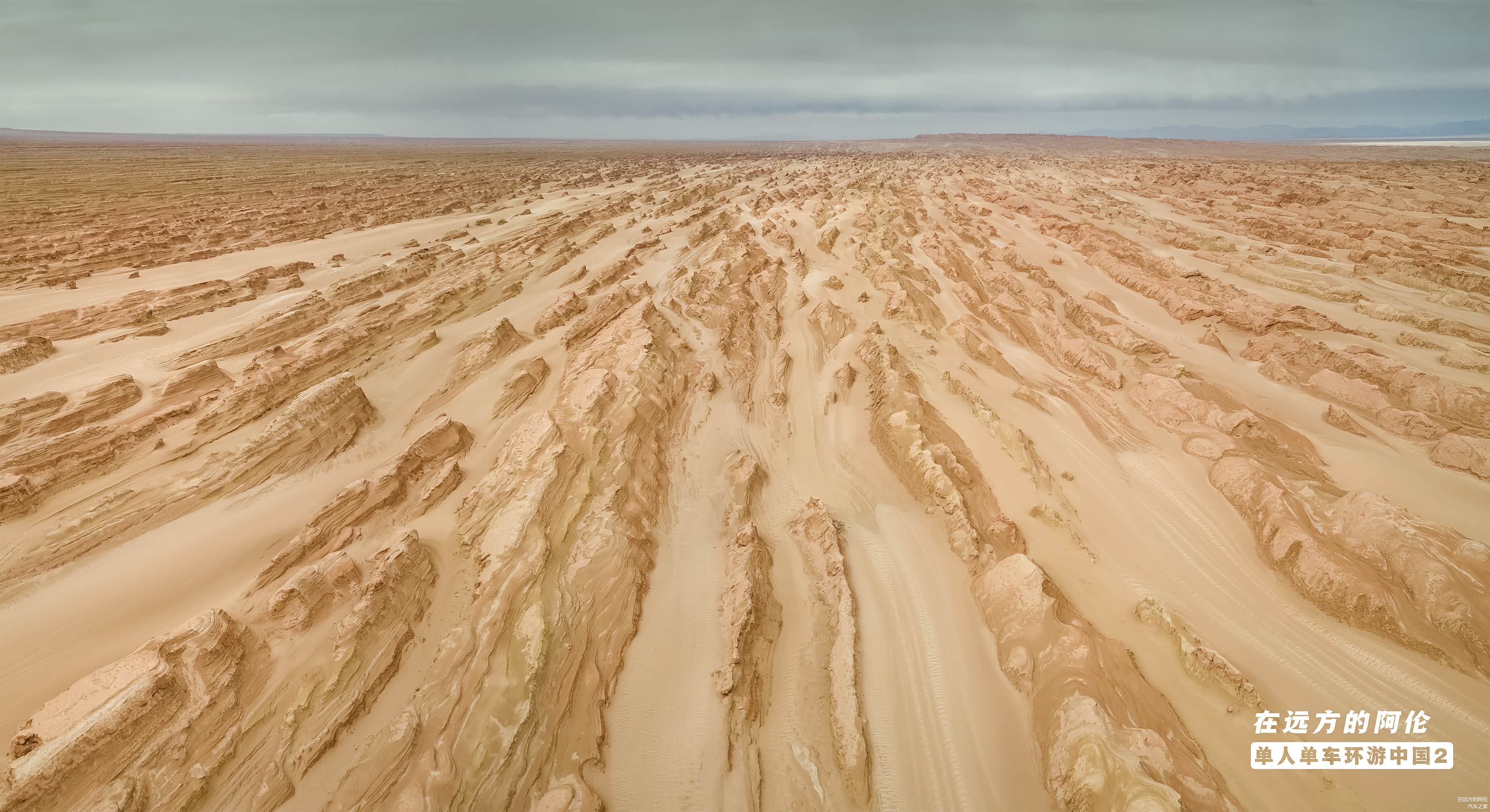 游弋在沙海里的雅丹鲸鱼