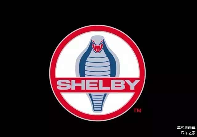 （注意视频结尾的logo是一只眼镜蛇）