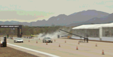 这就是为什么我可以去跟小牛跑的原因