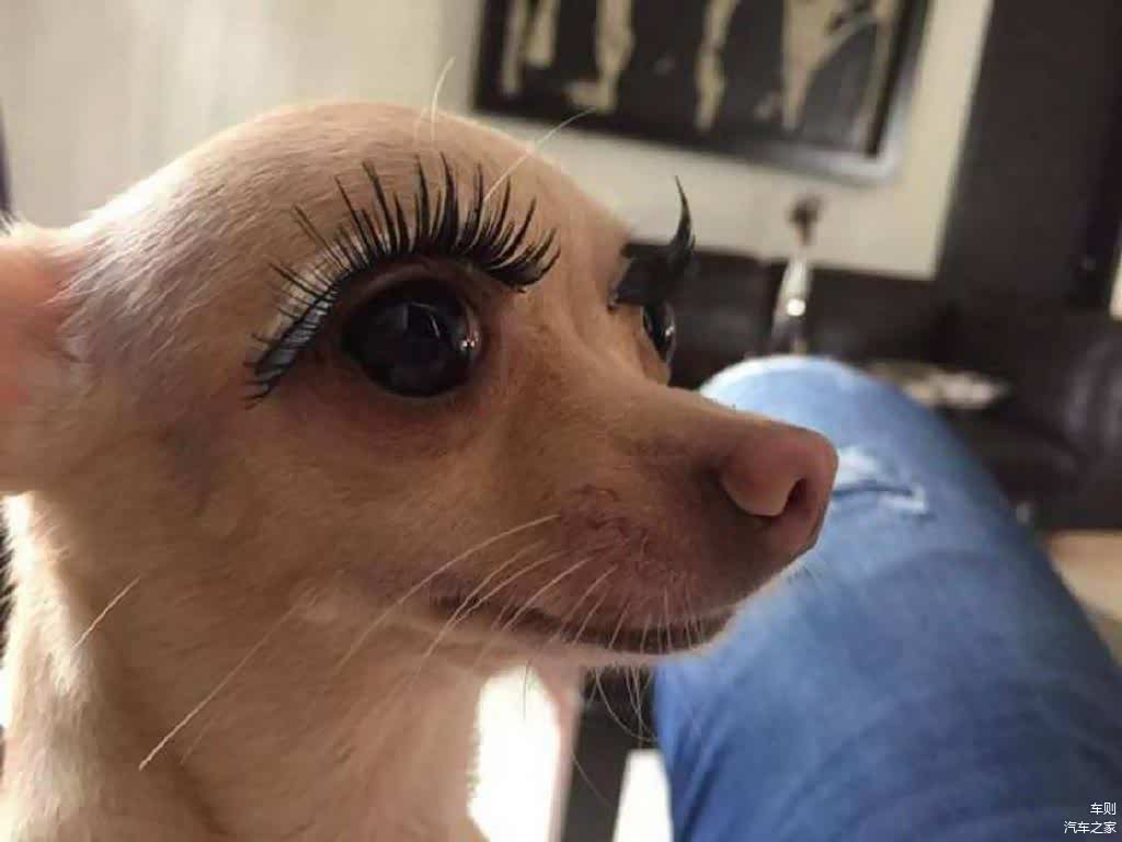 华晨宝马新大东工厂