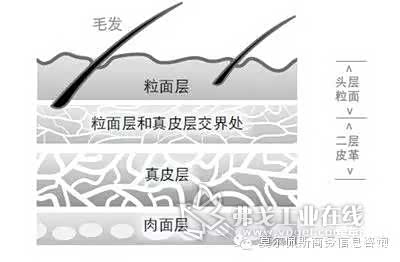 （图片来自网络）