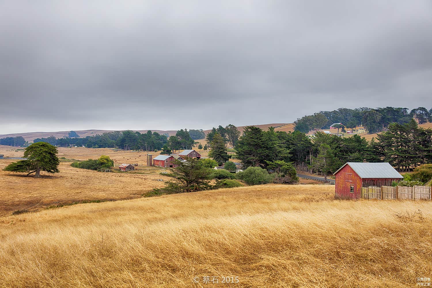 这里是主要的牧区，一路上都是一望无际的草场